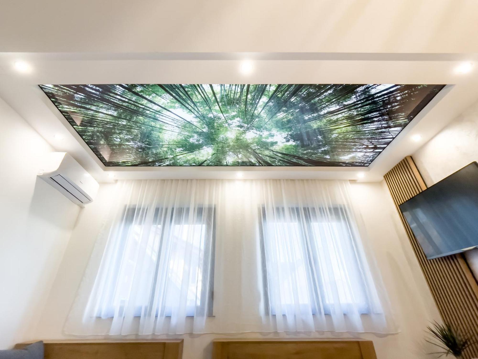 Heda Apartment Novi Sad